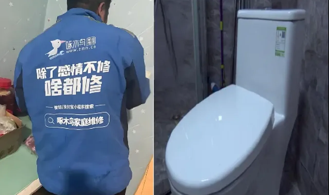 报价156元,实收1780元! 啄木鸟维修“坑哭”女子,投诉量一年暴涨69%,董事长“明白消费”成笑话 插图